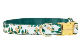 Golden Greenery Dog Collar - Two Styles